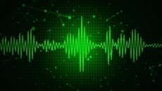 Voice Recognition Meets Whole Slide Imaging: The Future of Grossing